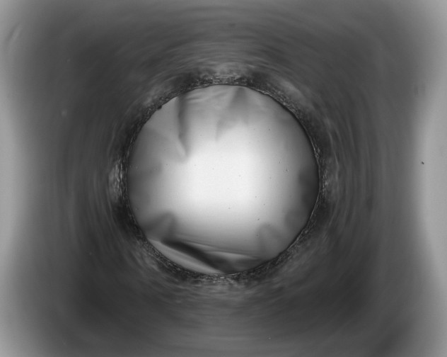 X0000086270866200704122027