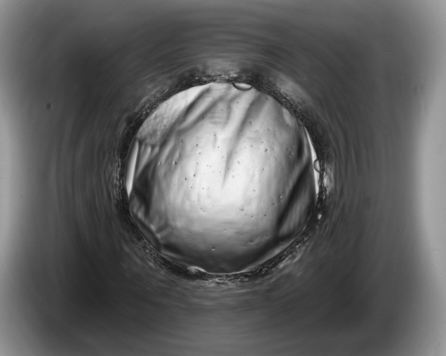 X0000086270867200704122027