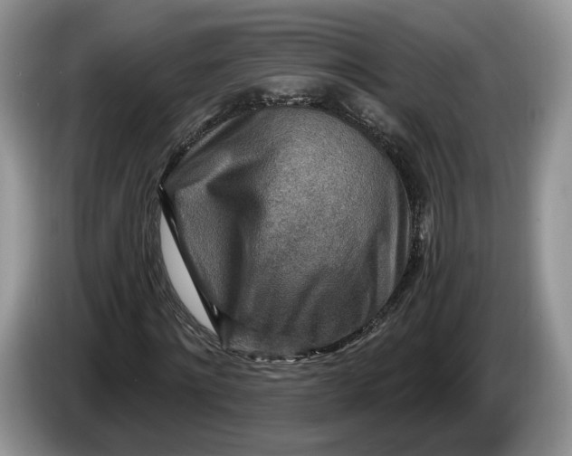 X0000086270868200704122027