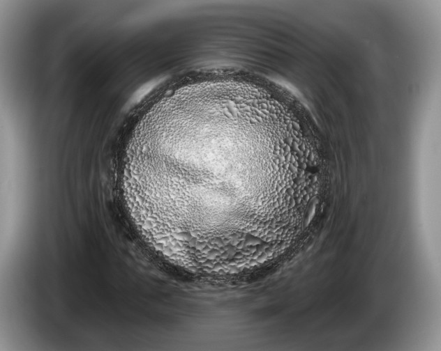 X0000086270871200704122027