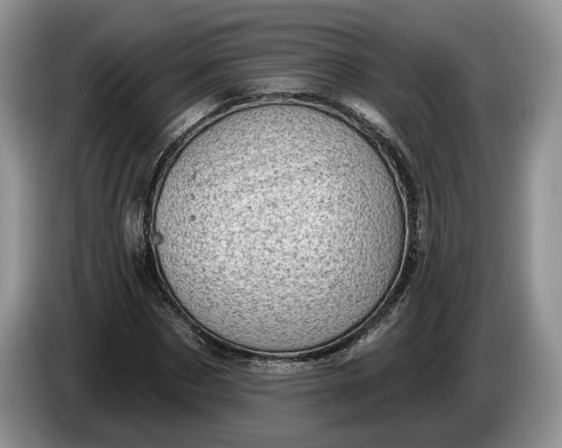 X0000086270873200704122027