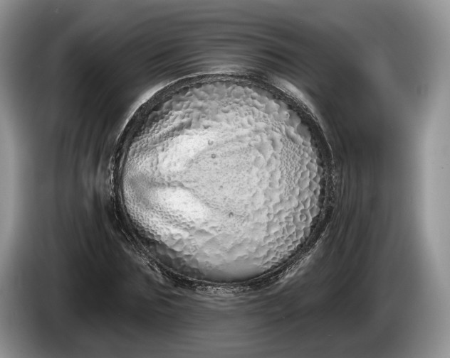 X0000086270875200704122027