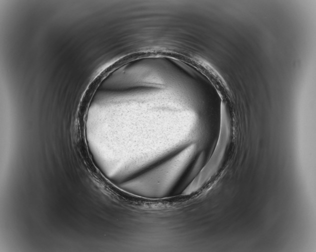 X0000086270876200704122027