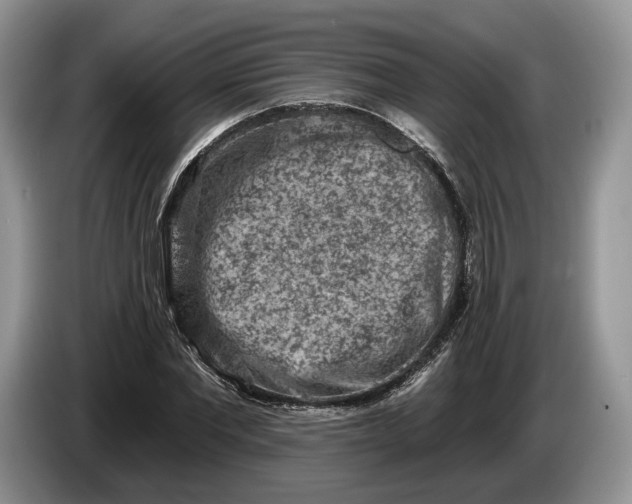 X0000086270877200704122027