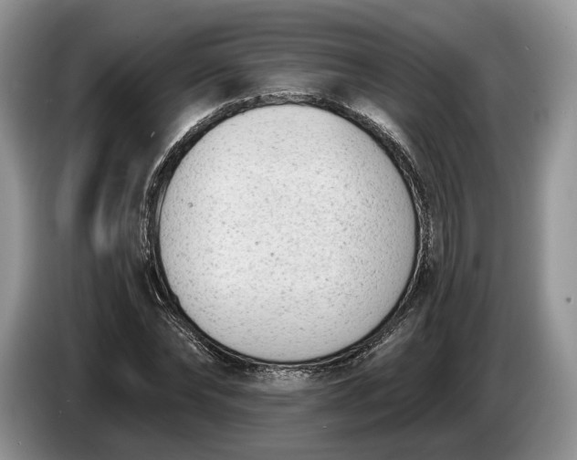 X0000086270878200704122027