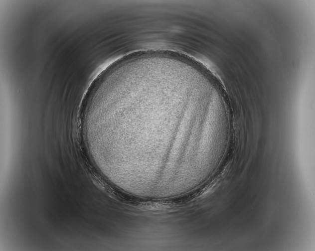 X0000086270879200704122027