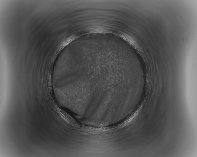 X0000086270881200704122027