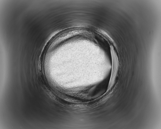 X0000086270883200704122027