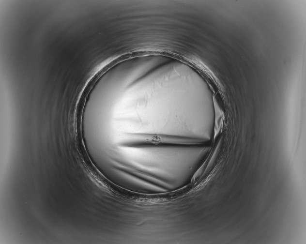 X0000086270884200704122027