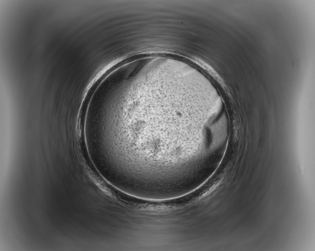 X0000086270885200704122027