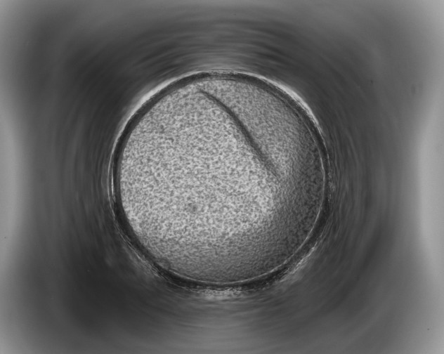 X0000086270887200704122027