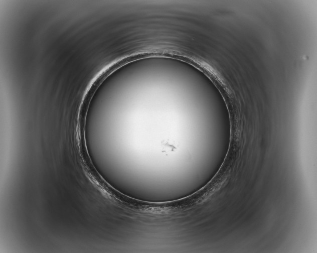 X0000086270888200704122027