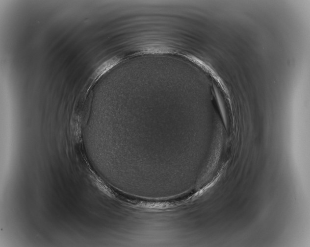 X0000086270889200704122027