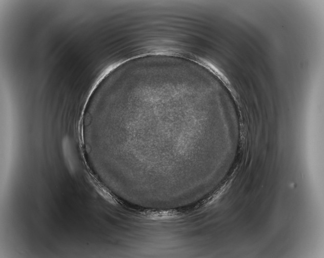 X0000086270891200704122027