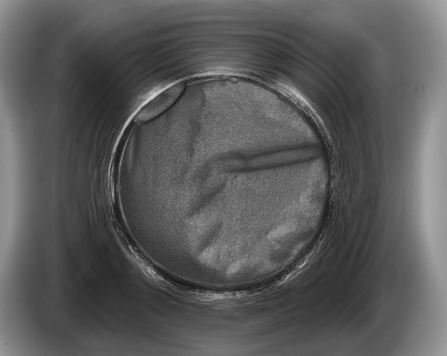 X0000086270892200704122027