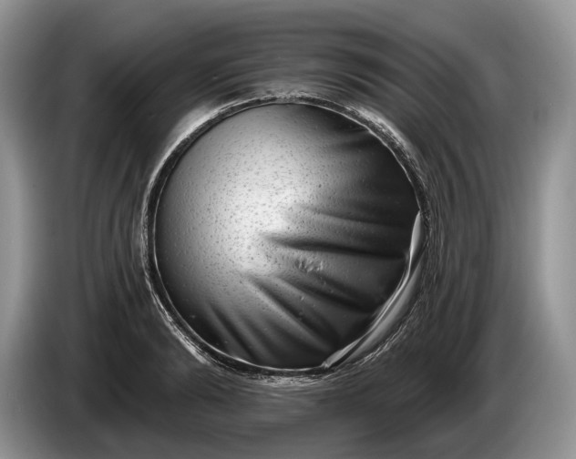 X0000086270894200704122027