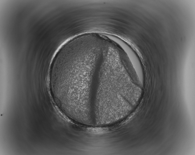 X0000086270896200704122027