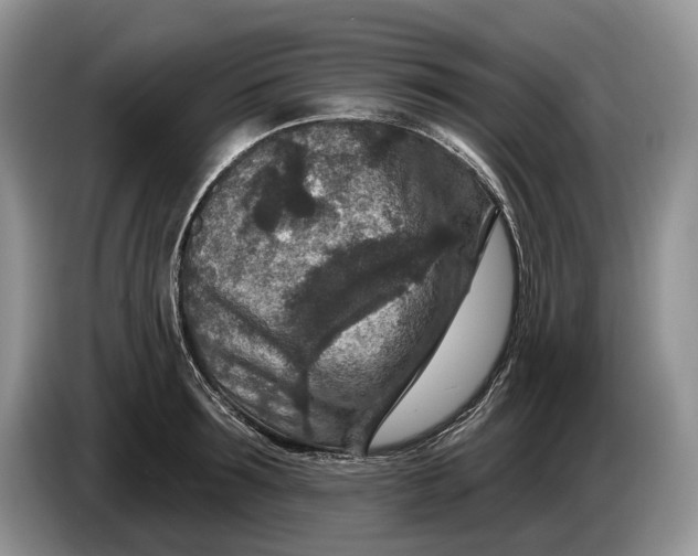 X0000086270899200704122027