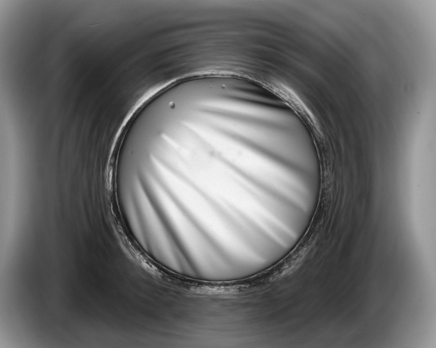 X0000086270900200704122027