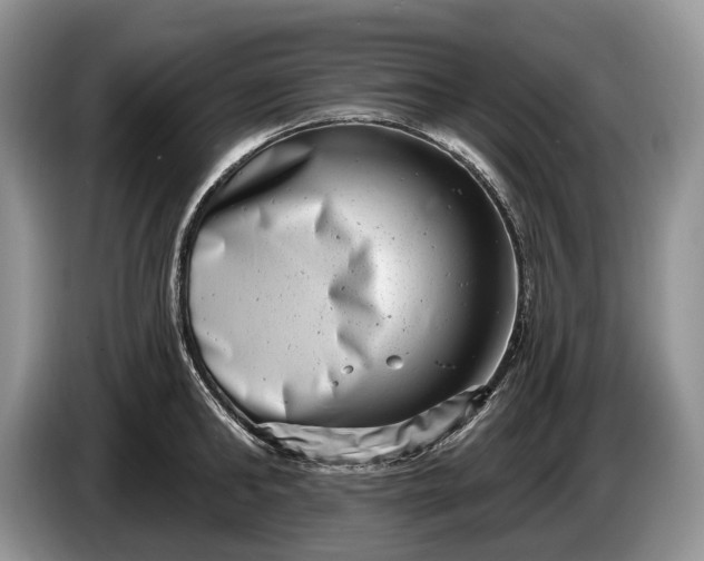 X0000086270902200704122027