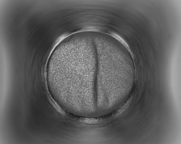 X0000086270907200704122027