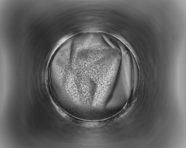 X0000086270909200704122027