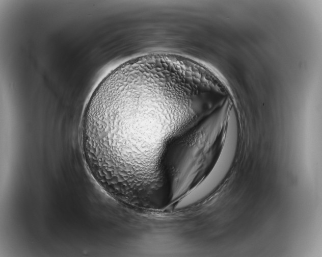 X0000086270911200704122027