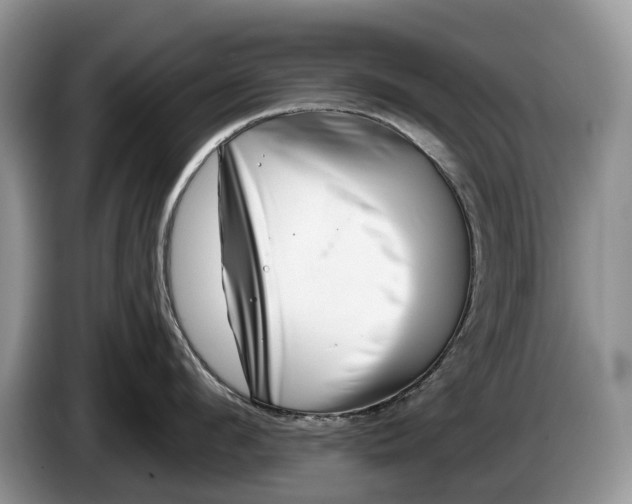 X0000086270912200704122027