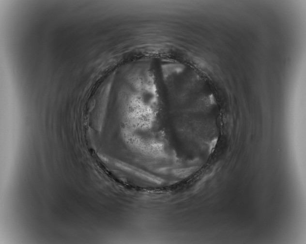 X0000086270913200704122026