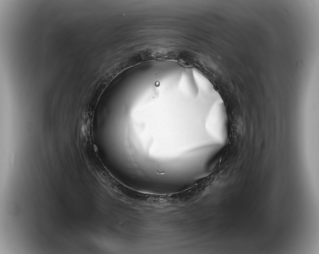 X0000086270914200704122026