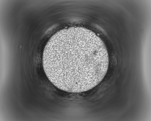 X0000086270918200704122026