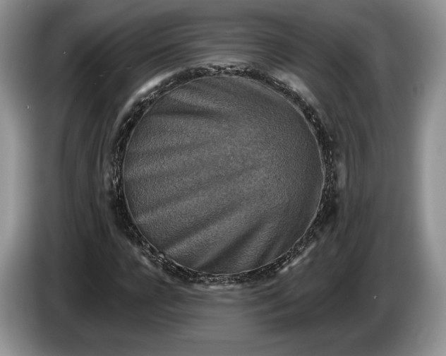 X0000086270920200704122026