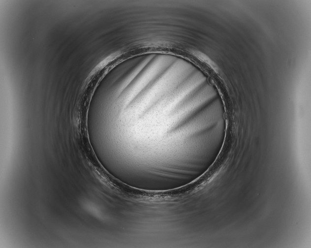 X0000086270922200704122026