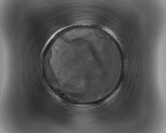 X0000086270923200704122026