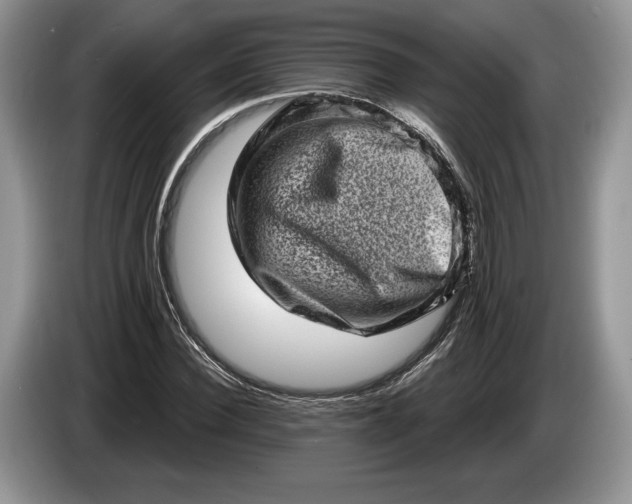 X0000086270924200704122026