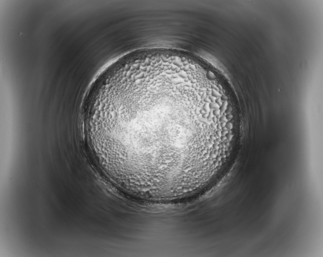 X0000086270925200704122026