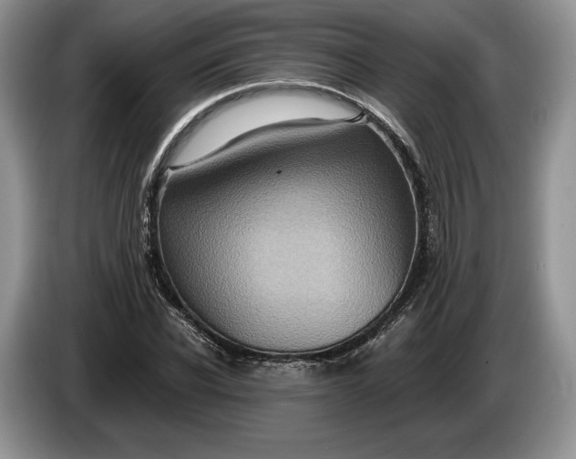 X0000086270926200704122026