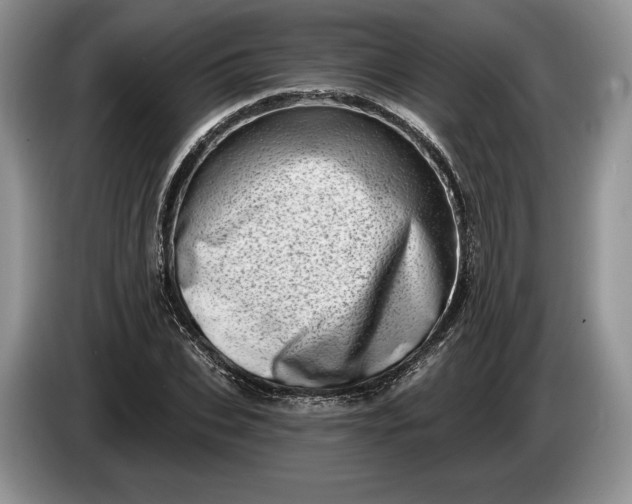 X0000086270927200704122026