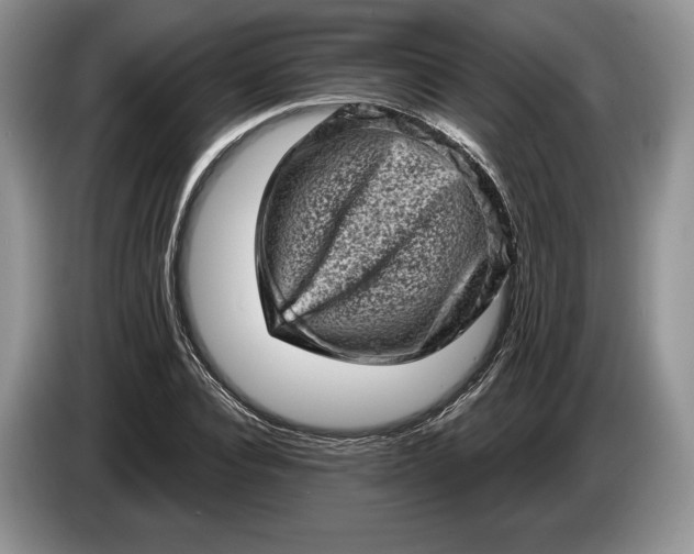 X0000086270928200704122026