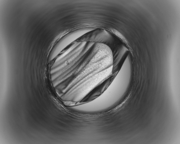 X0000086270930200704122026