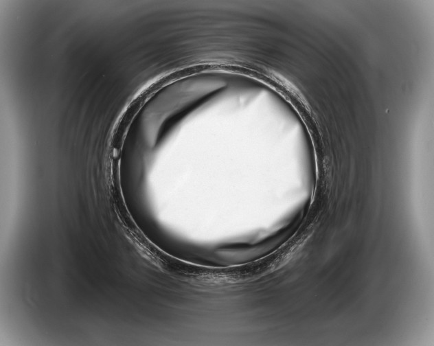 X0000086270931200704122026