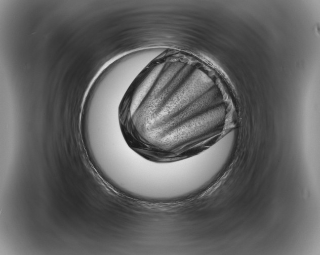 X0000086270932200704122026