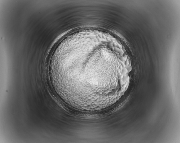 X0000086270933200704122026