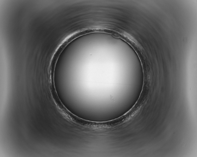 X0000086270934200704122026