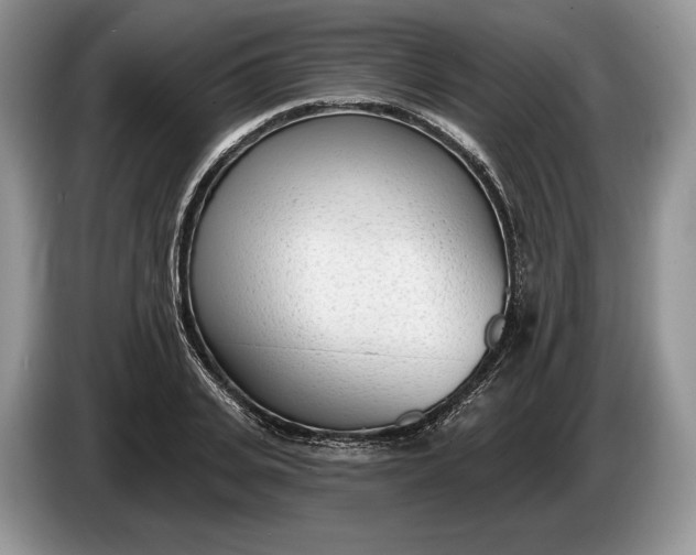 X0000086270935200704122026