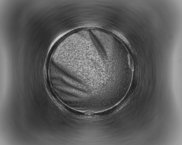 X0000086270936200704122026