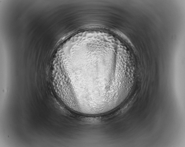 X0000086270937200704122026