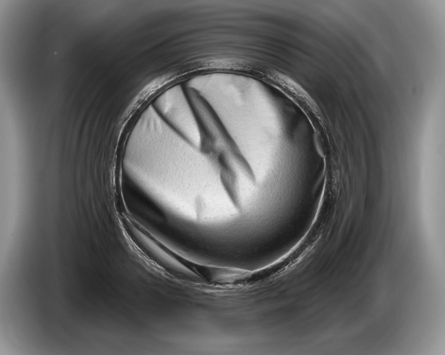 X0000086270938200704122026