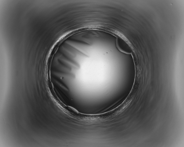 X0000086270939200704122026