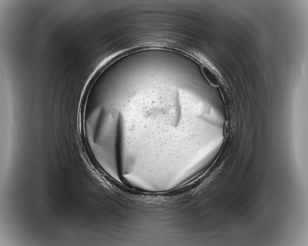 X0000086270940200704122026